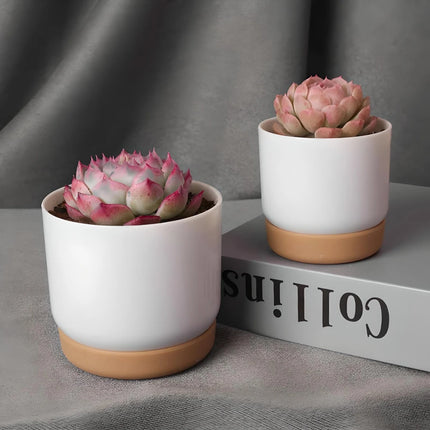 Pot de plantes succulentes auto-arrosant à double couche pour la décoration intérieure