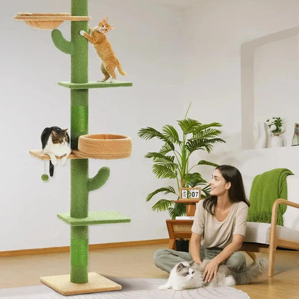 Árbol para gatos de cactus de piso a techo