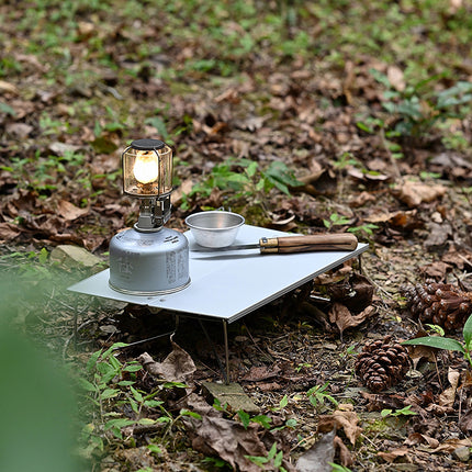 Table de camping portable et légère en aluminium