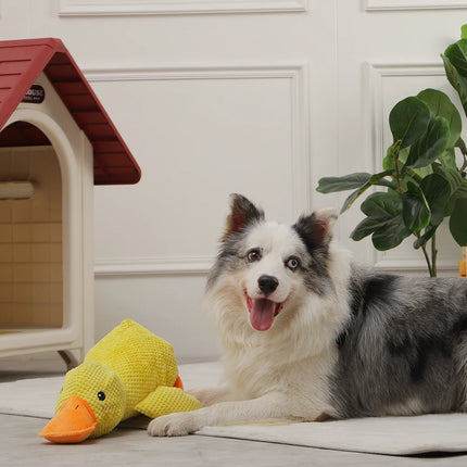 Juguete interactivo para perros con forma de pato y chirriador