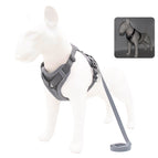 S 2-4 kg / Gray
