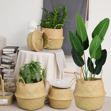 Versatile Wicker Seagrass Planter and Storage Basket - Wnkrs