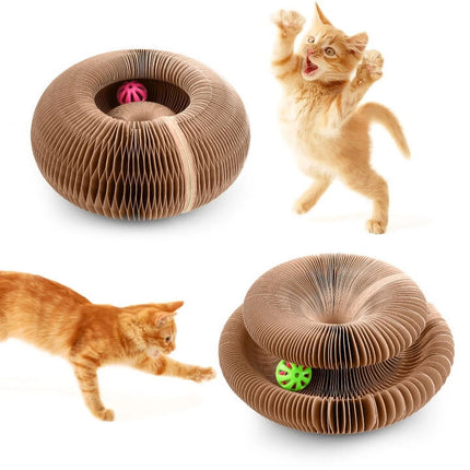 Planche à gratter pliable magique pour chat avec cloche