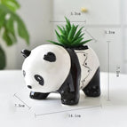 Standing Panda