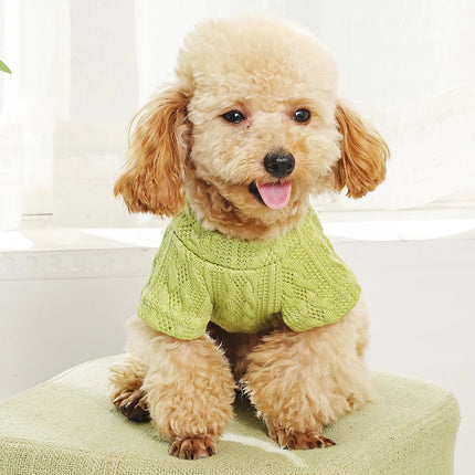 Pull tricoté confortable pour chien – Chaud, floral et mignon pour chiens et chats de petite et moyenne taille