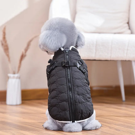 Gilet harnais confortable pour chien teckel saucisse - Tenue d'hiver