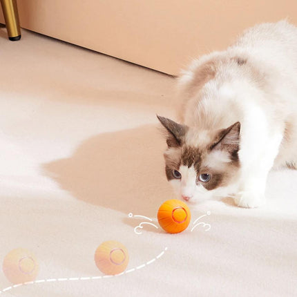 Jouet interactif intelligent pour chat