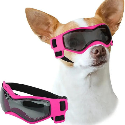 Gafas de sol para perros pequeños