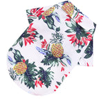 White pineapple / XL