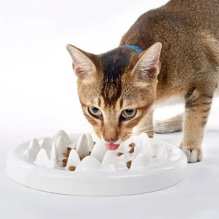 Bol en céramique pour manger lentement