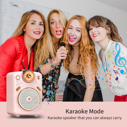 Enceinte karaoké Bluetooth portable avec microphone et changement de voix