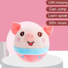 Piggy