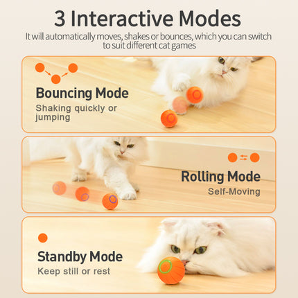 Jouet interactif intelligent pour chat