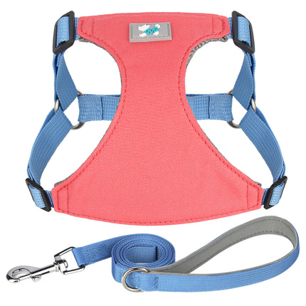 Conjunto de arnés y correa de nailon ajustable para perros de todas las razas