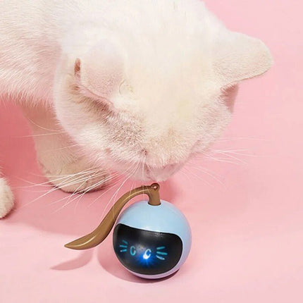 Smart Interactive LED Cat Ball Toy - Wnkrs