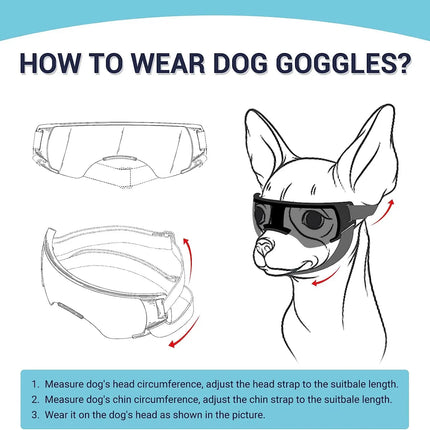 Gafas de sol para perros pequeños