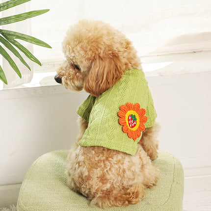 Pull tricoté confortable pour chien – Chaud, floral et mignon pour chiens et chats de petite et moyenne taille