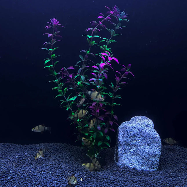 Plante aquatique de simulation d'aquarium de 30 cm de haut pour l'aménagement paysager d'un aquarium