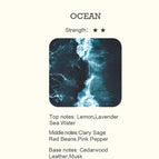 OCEAN / 100 ML