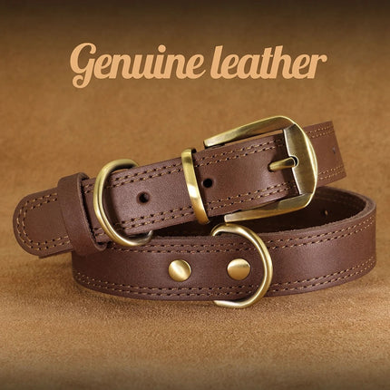 Collar de cuero genuino para perros, duradero y ajustable para perros pequeños y grandes