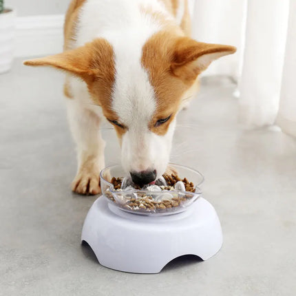 Comedero lento para gatos con soporte elevado e inclinación de 15 grados antiasfixia