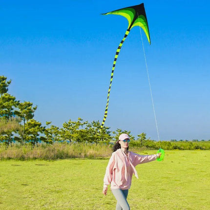 Large Delta Kite for Outdoor Sports - Wnkrs