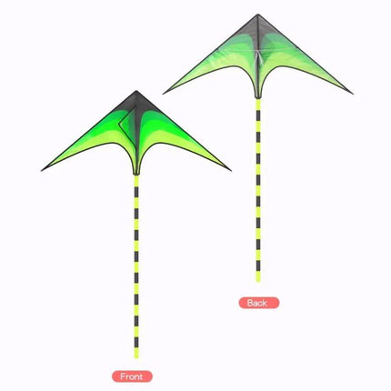 Large Delta Kite for Outdoor Sports - Wnkrs