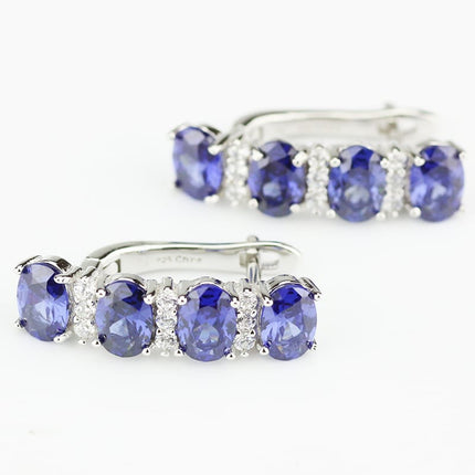 Elegant Blue Stone Earrings - Wnkrs