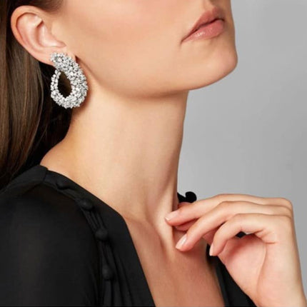 Crystal Frost Curl Drop Earrings - Wnkrs