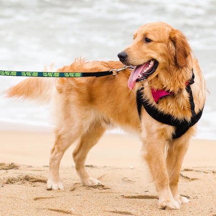 I'm Just Here for the Food Pet Leash - Funny Design Leash - Best Print Leash for Dogs - wnkrs