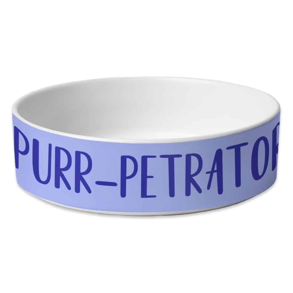 Cute Funny Pet Bowl - Creative Dog Bowl - Cool Design Pet Food Bowl