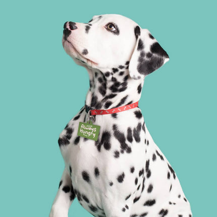 Always Hungry Pet ID Tag - Funny Pet Tag - Best Design Pet ID Tag - wnkrs