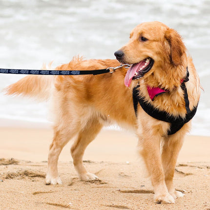 Adopted Pet Leash - Cute Leash - Trendy Leash for Dogs - wnkrs