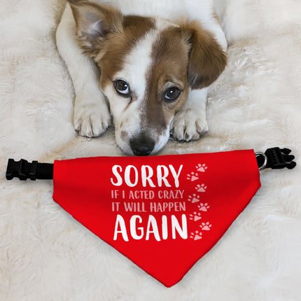 Acted Crazy Pet Bandana Collar - Funny Scarf Collar - Colorful Dog Bandana - wnkrs