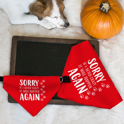 Acted Crazy Pet Bandana Collar - Funny Scarf Collar - Colorful Dog Bandana - wnkrs