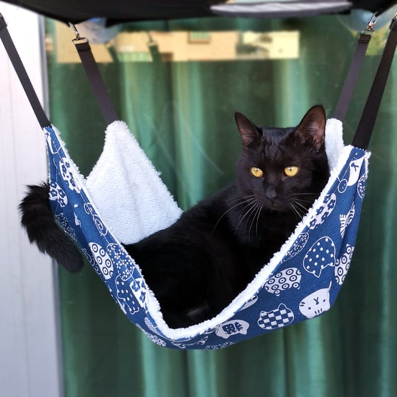 Hanging Cat Hammock Options