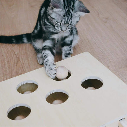 Interactive Wooden Cat Popping Toy - wnkrs