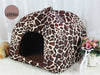 leopardo