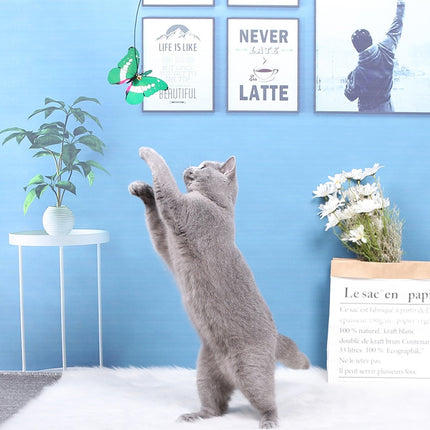 Butterfly Cat Playing Stick - wnkrs
