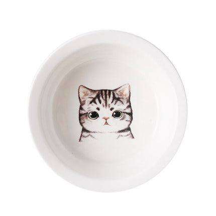 Ceramic Pet Bowl with Tilted Base - wnkrs
