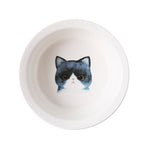 blue-cat
