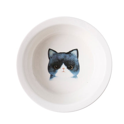Ceramic Pet Bowl with Tilted Base - wnkrs