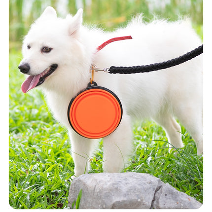 Folding Portable Silicone Pet Bowl - wnkrs