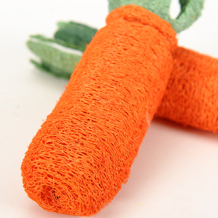 Chew Carrot Shaped Toy - wnkrs