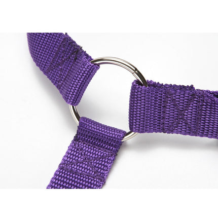 Pet Seat Belt Leash - wnkrs