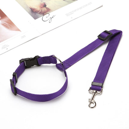 Pet Seat Belt Leash - wnkrs