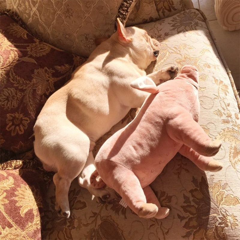 Soft Plush Pig Dog Toy