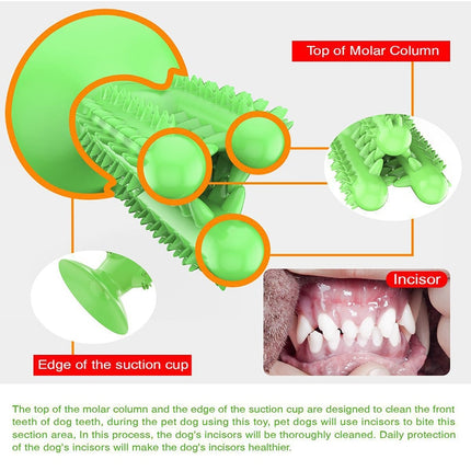 Chewing Toothbrush Toy for Dogs - wnkrs