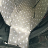 pata gris