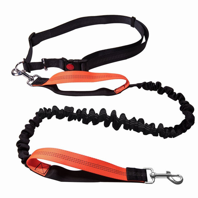 Elastic Dog's Leash with Waist Rope - wnkrs